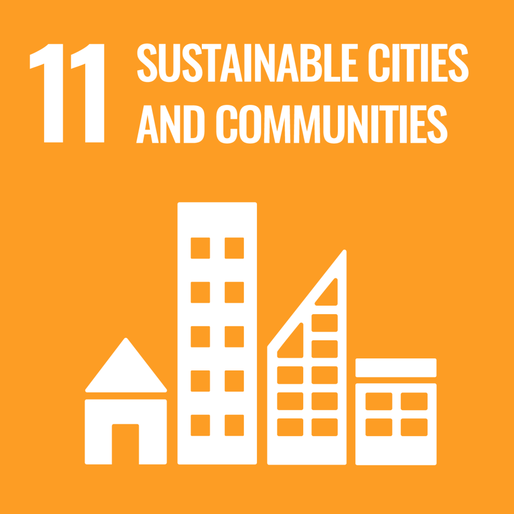 sdg11 4 1