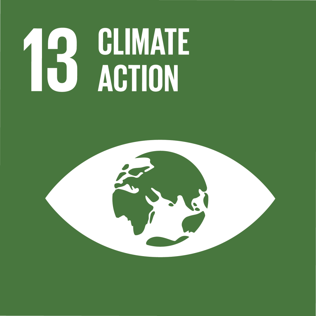 sdg13 3 1