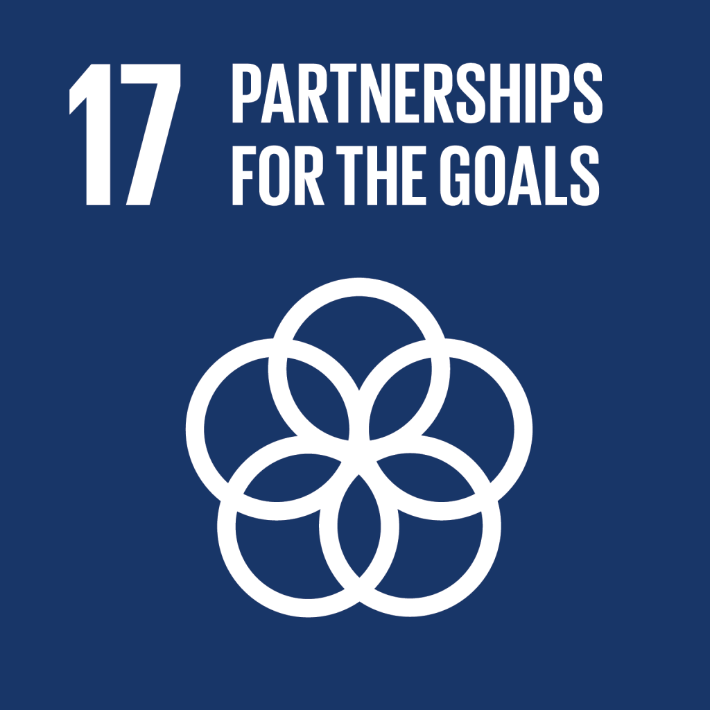 sdg17 3 1