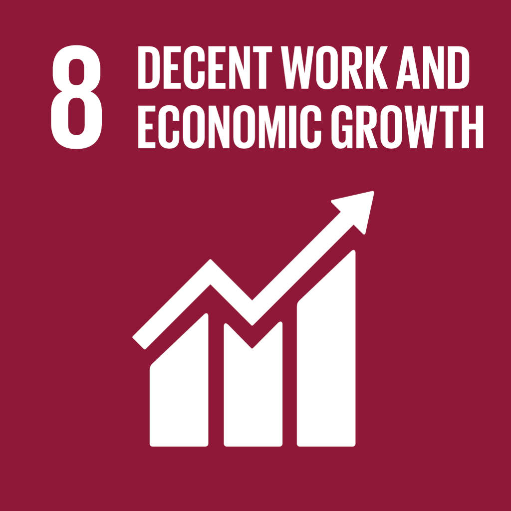 sdg8 3 1